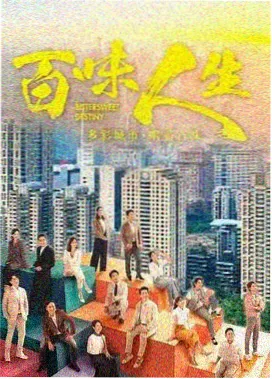 雾港谜踪 全集在线观看